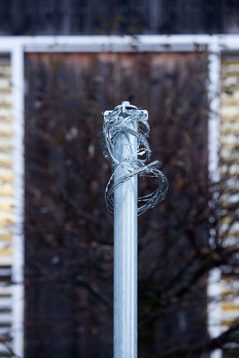 Julia Hohenwarter — O-O-O | Foto: Johannes Puch