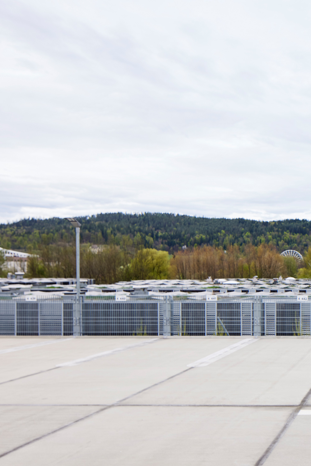 Sophie Dvořák — SYNTAX | Foto: Johannes Puch