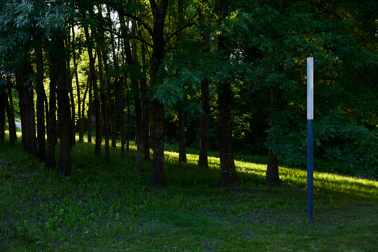 Julius Pristauz — forever more (structural blur) | Foto: Johannes Puch