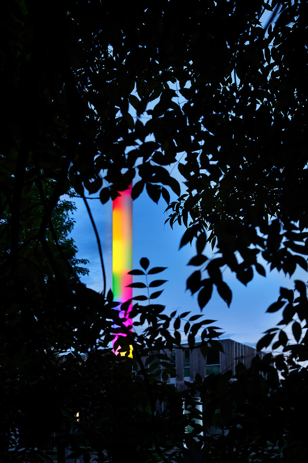 Julius Pristauz — forever more (structural blur) | Foto: Johannes Puch