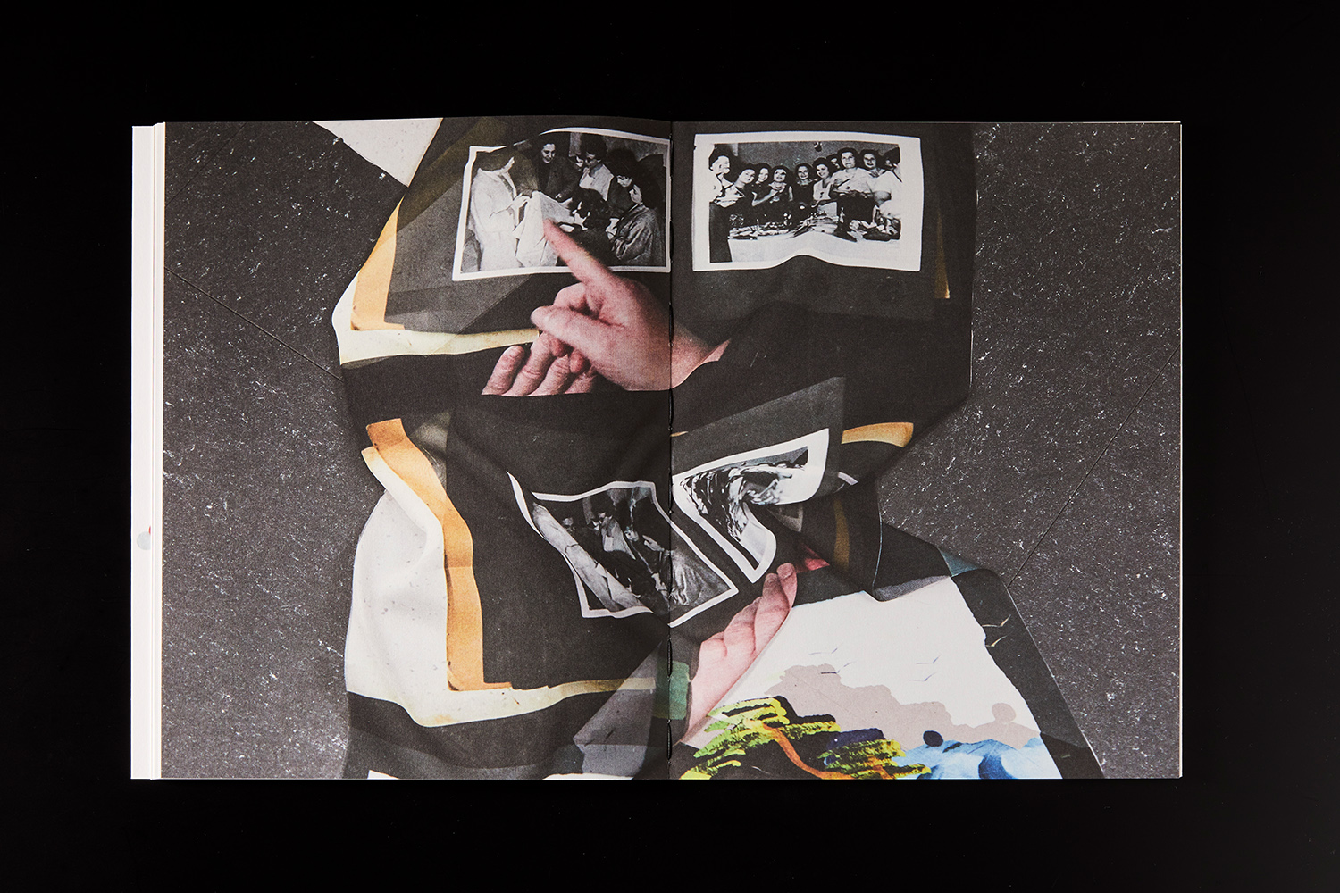 Host — Jahrespublikation 2024 | Foto: Johannes Puch